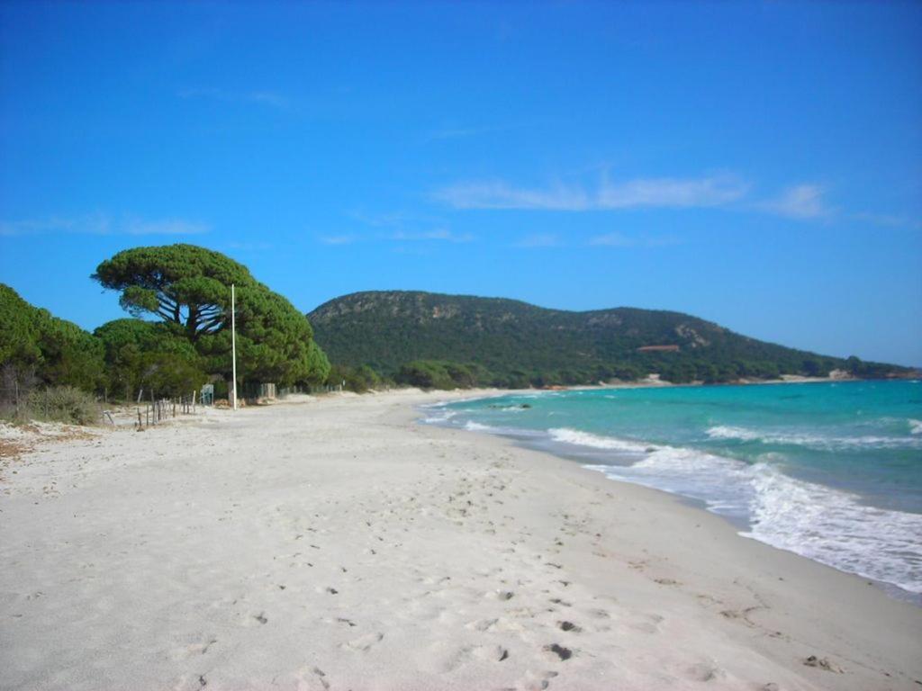 Villa Largia Porto Vecchio - A 5 Min Des Plages De Palombaggia - Calme- Climatisation Exteriör bild